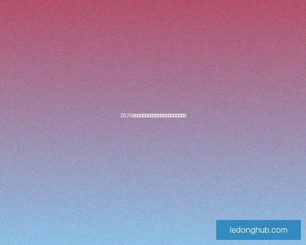 2026世界杯最佳球员精彩表现引领球队迈向荣耀之路